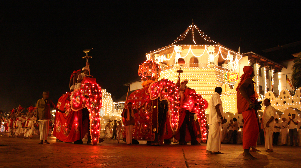 Flavours of Ceylon is a travel agency based in Sri Lanka. We offer personalised and unforgettable journeys showcasing the island's natural beauty, rich culture, and diverse heritage. With a passionate team of travel experts and extensive local knowledge, we tailor a trip to your interests and needs.